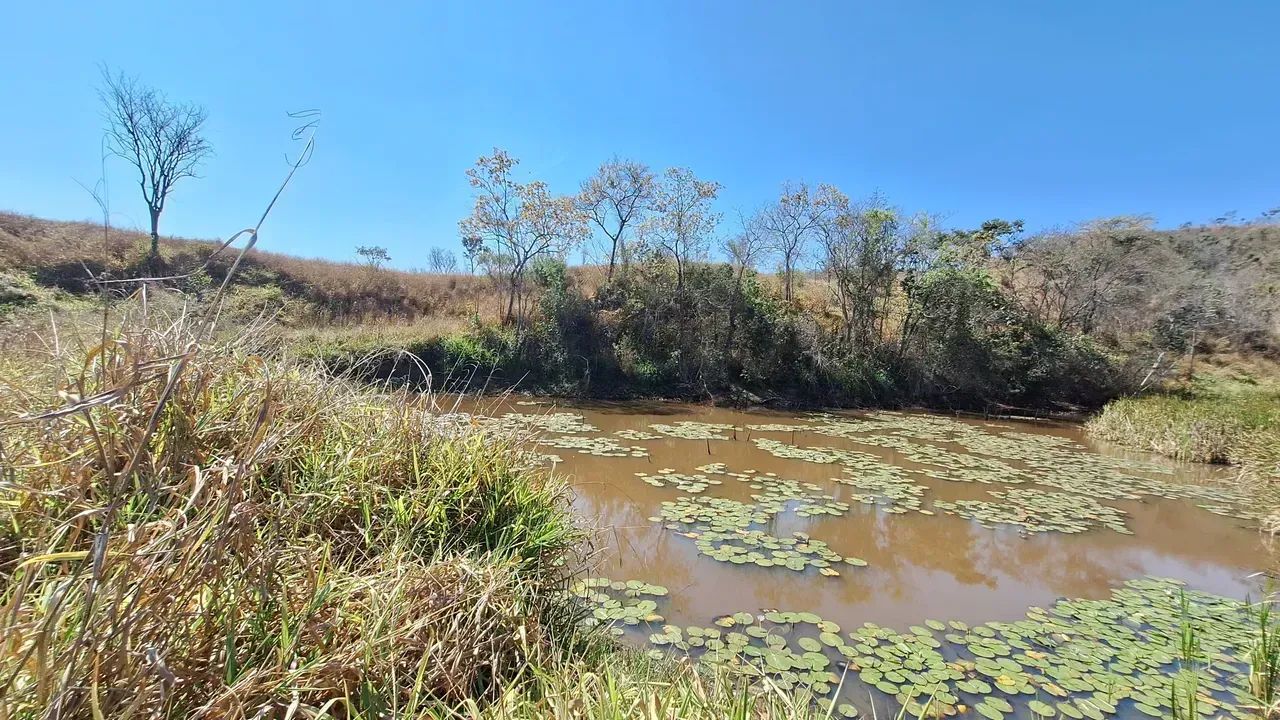 FAZENDINHA com casa e lagoa própria,  R$135.000,00 mais parcelas - Foto 4