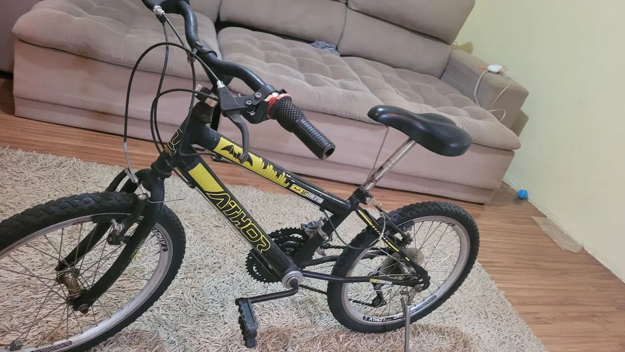 Bicicleta aro 20 com 15 marcha 