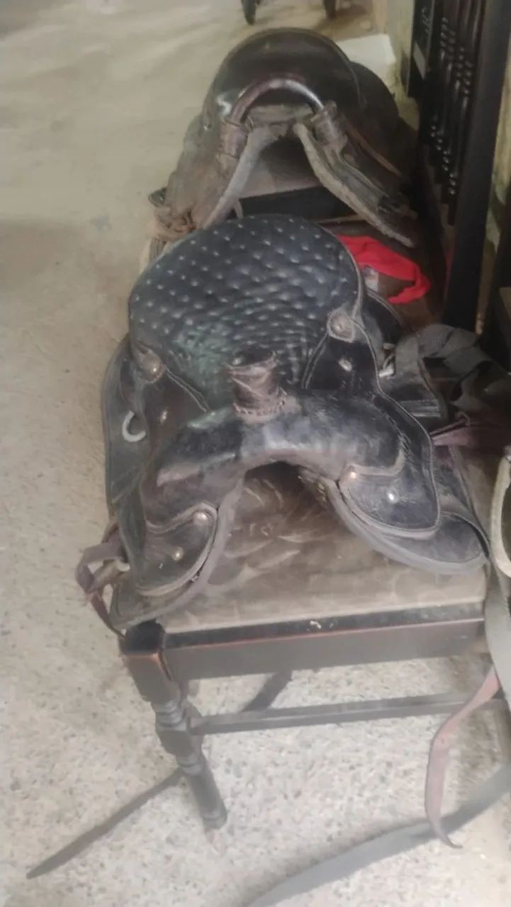 Vendo celas boa 600 as duas $ - Foto 3