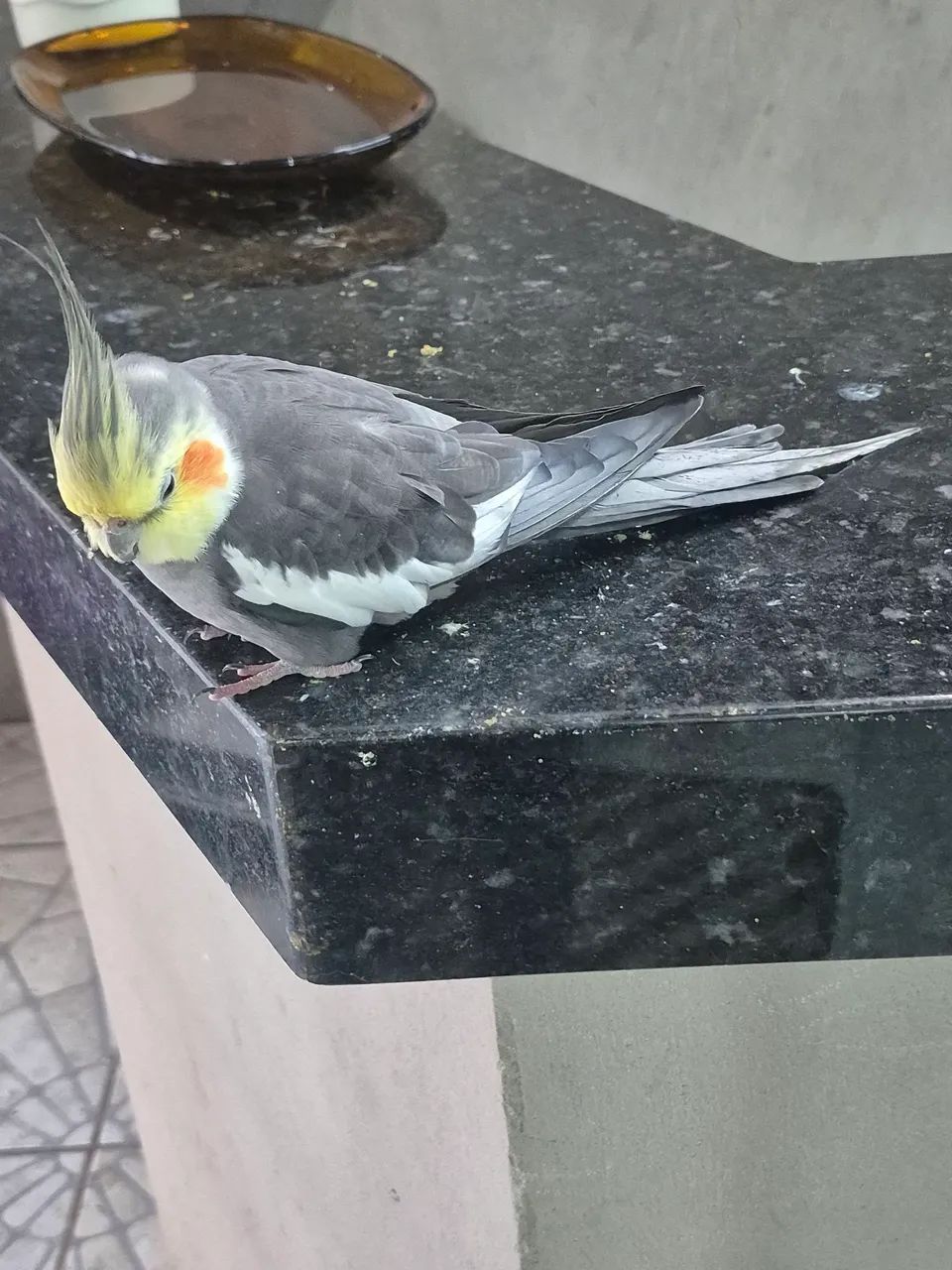 Disponível - Foto 3
