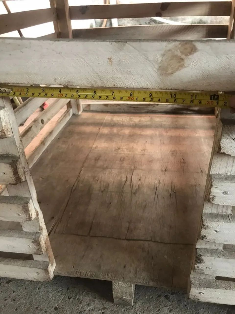 Casinha de Cachorro  - Foto 4