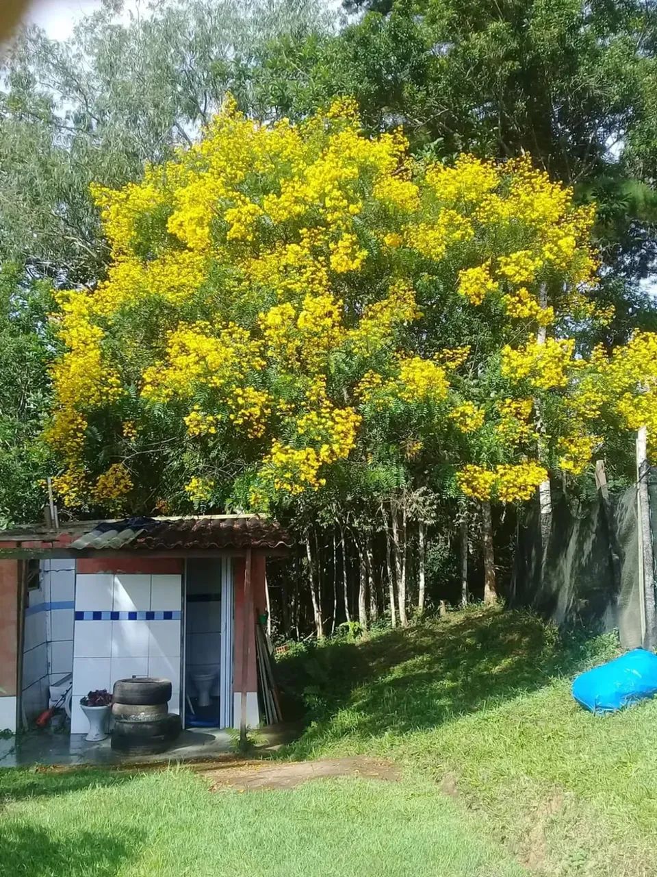 Chácara com piscina e vista panorâmica em Juquitiba - Foto 5