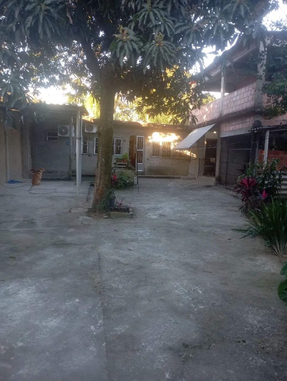 Vendo casa  - Foto 2