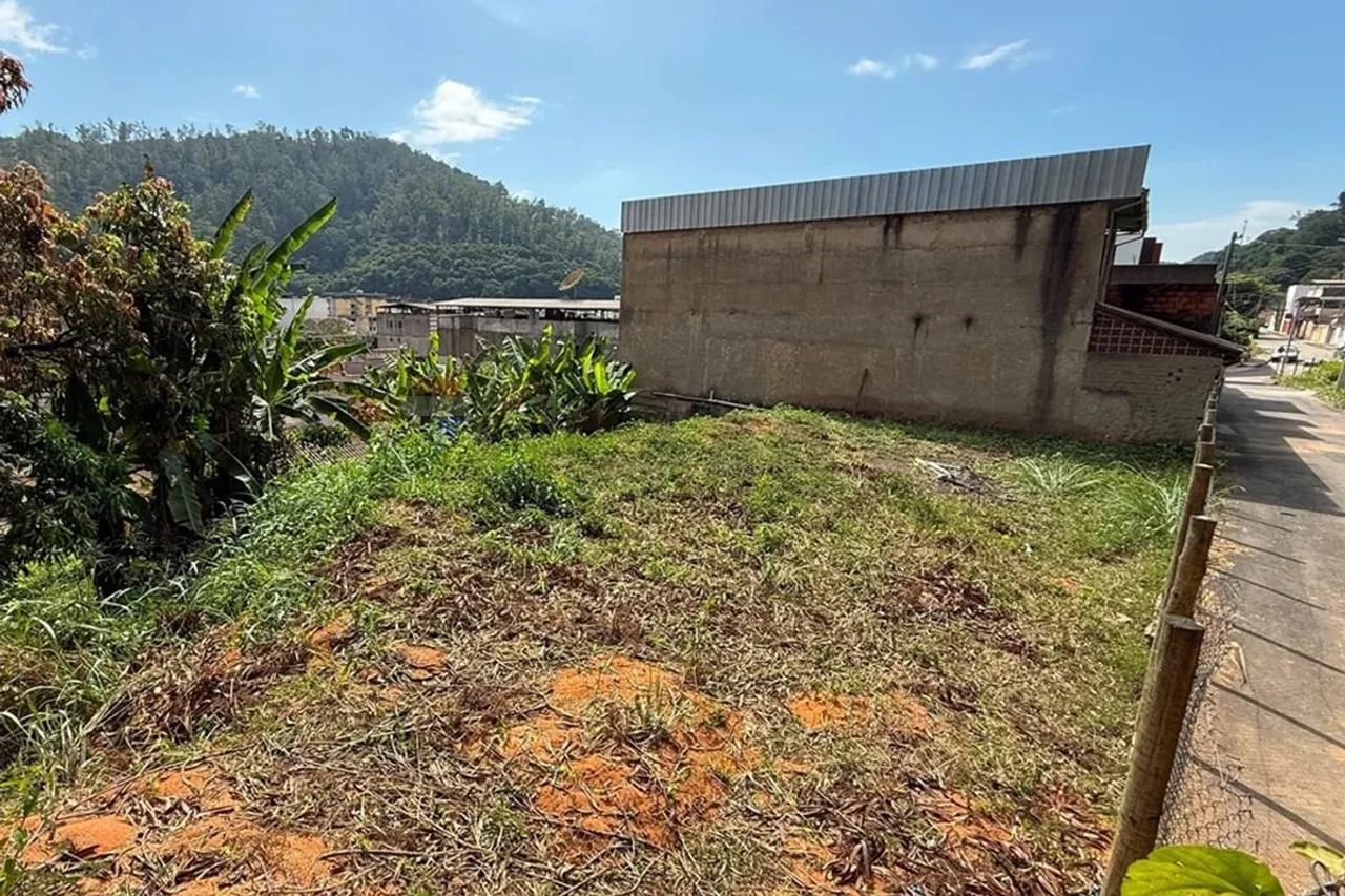 Terreno no Sudeste: Oportunidade Imperdível! - Foto 3