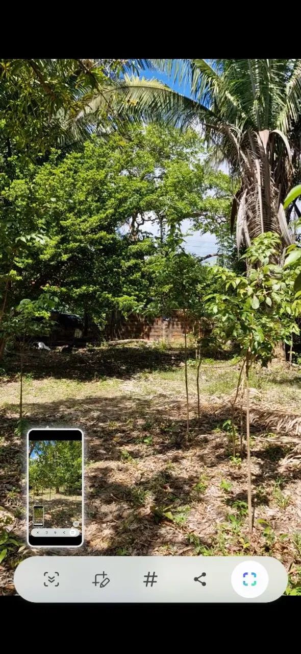 Sitio macajituba av principal