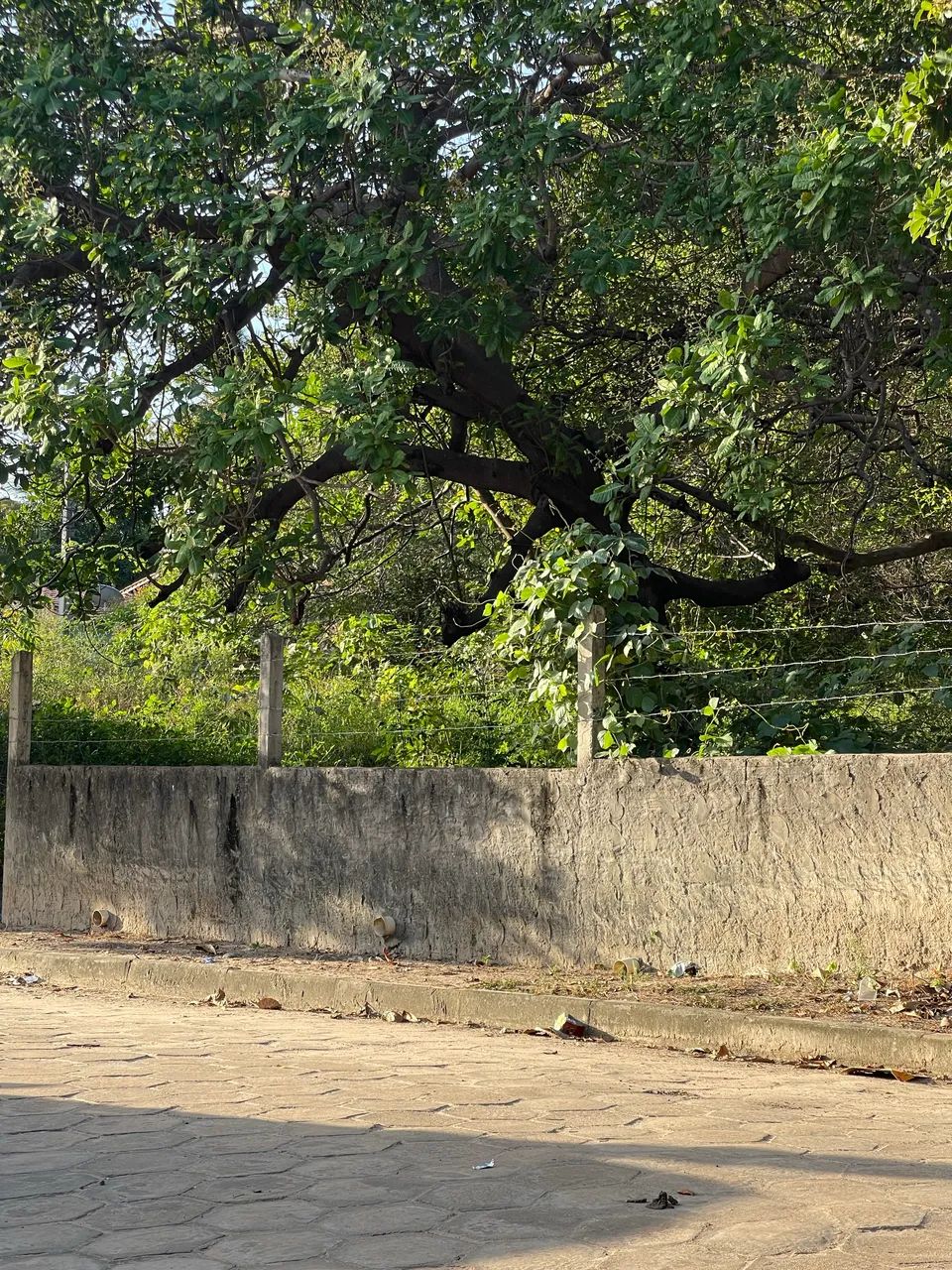 VENDO TERRENOS EM PANAQUATIRA - Foto 5