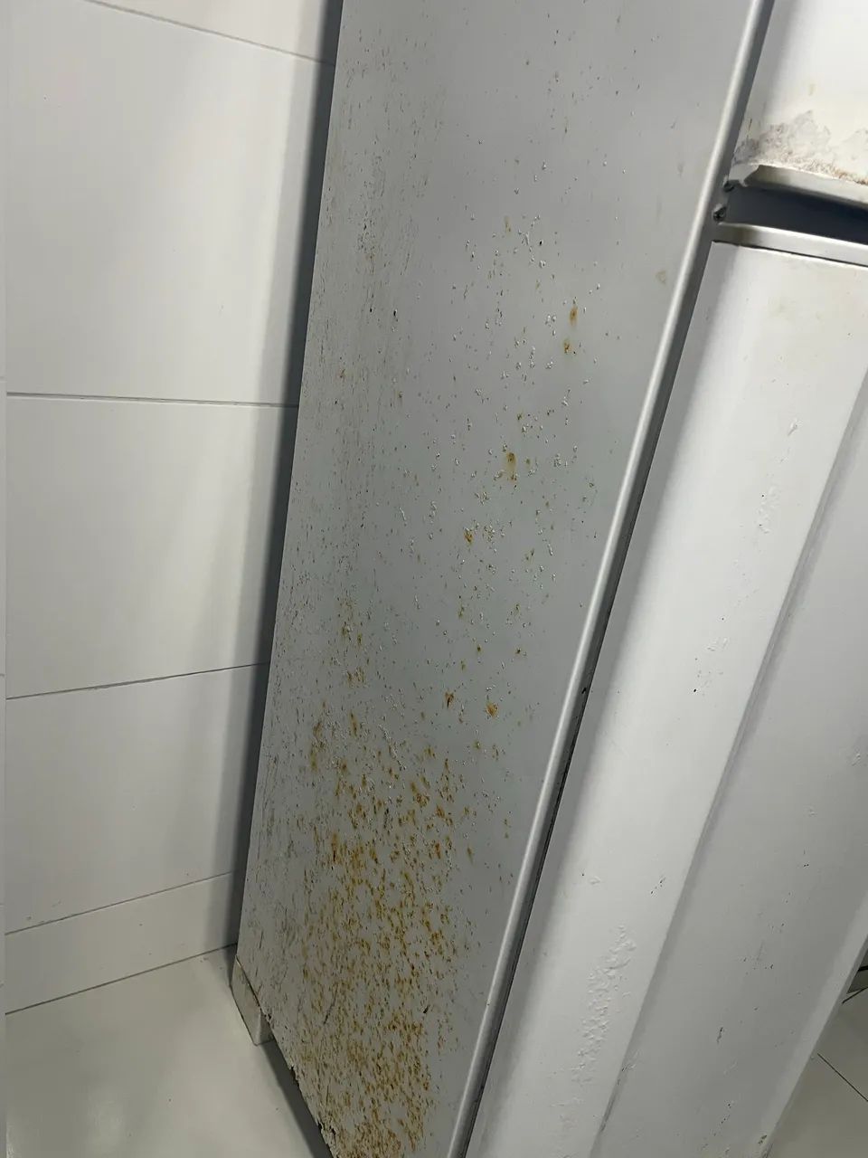 Geladeira pega tudo, funcionando bem  - Foto 3