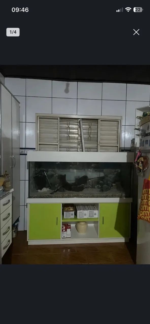 Áquario de Peixes Completo!