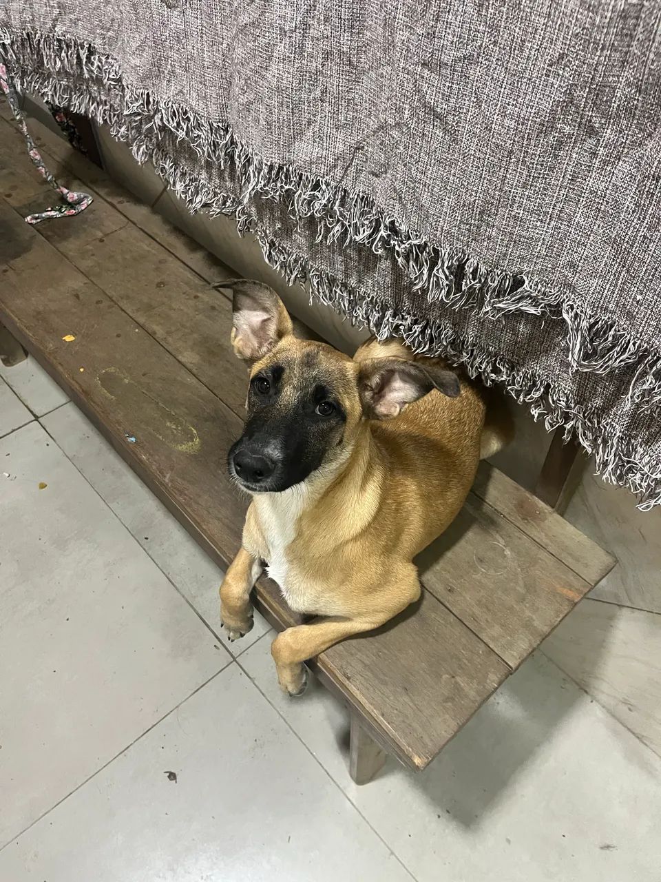 Doação 