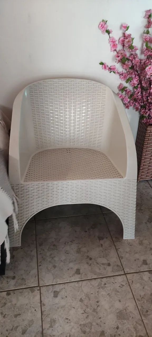 2 cadeiras de plástico grande.