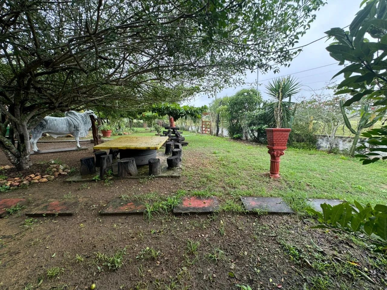 Área rural em Queimadas PB - Foto 3
