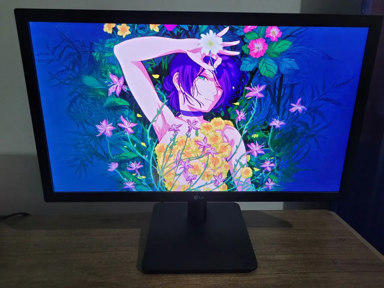 Monitor LG Full HD 75hz 