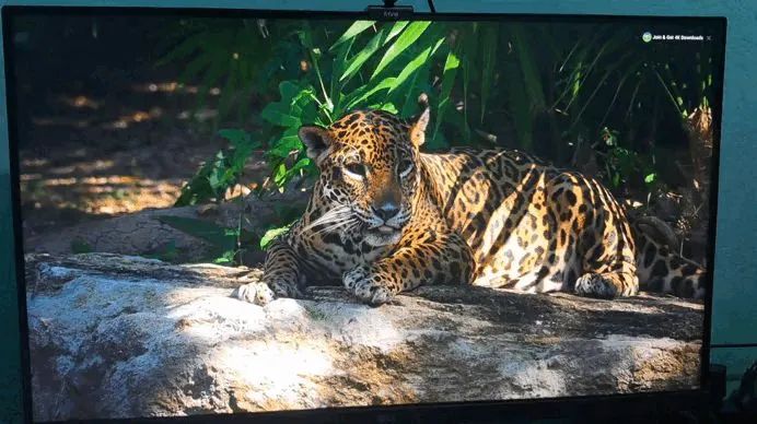 Monitor LG 27 Polegadas 100 hz Fullhd - Foto 2