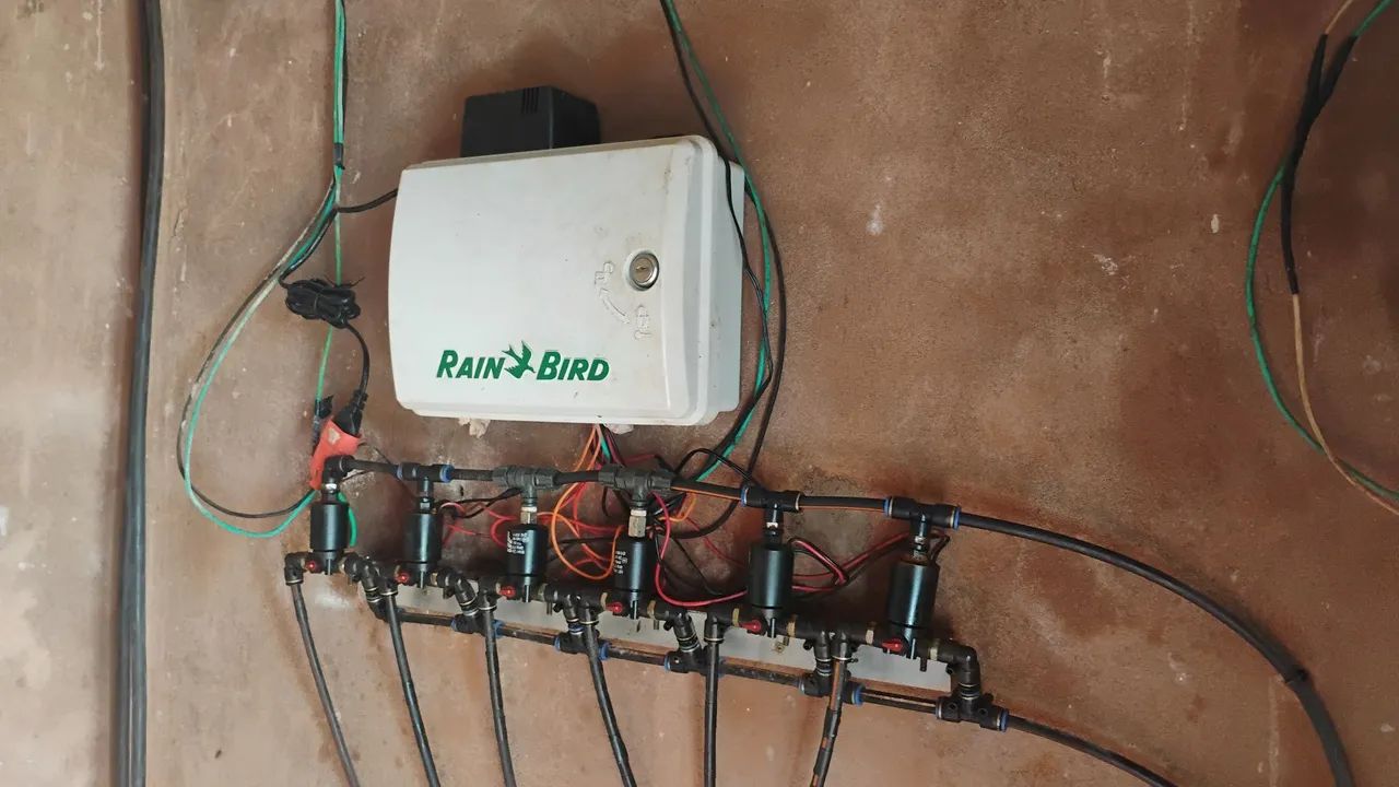 Vendo propriedade  - Foto 4