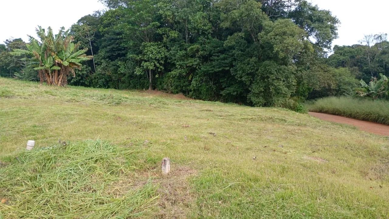 Venda  - Foto 5
