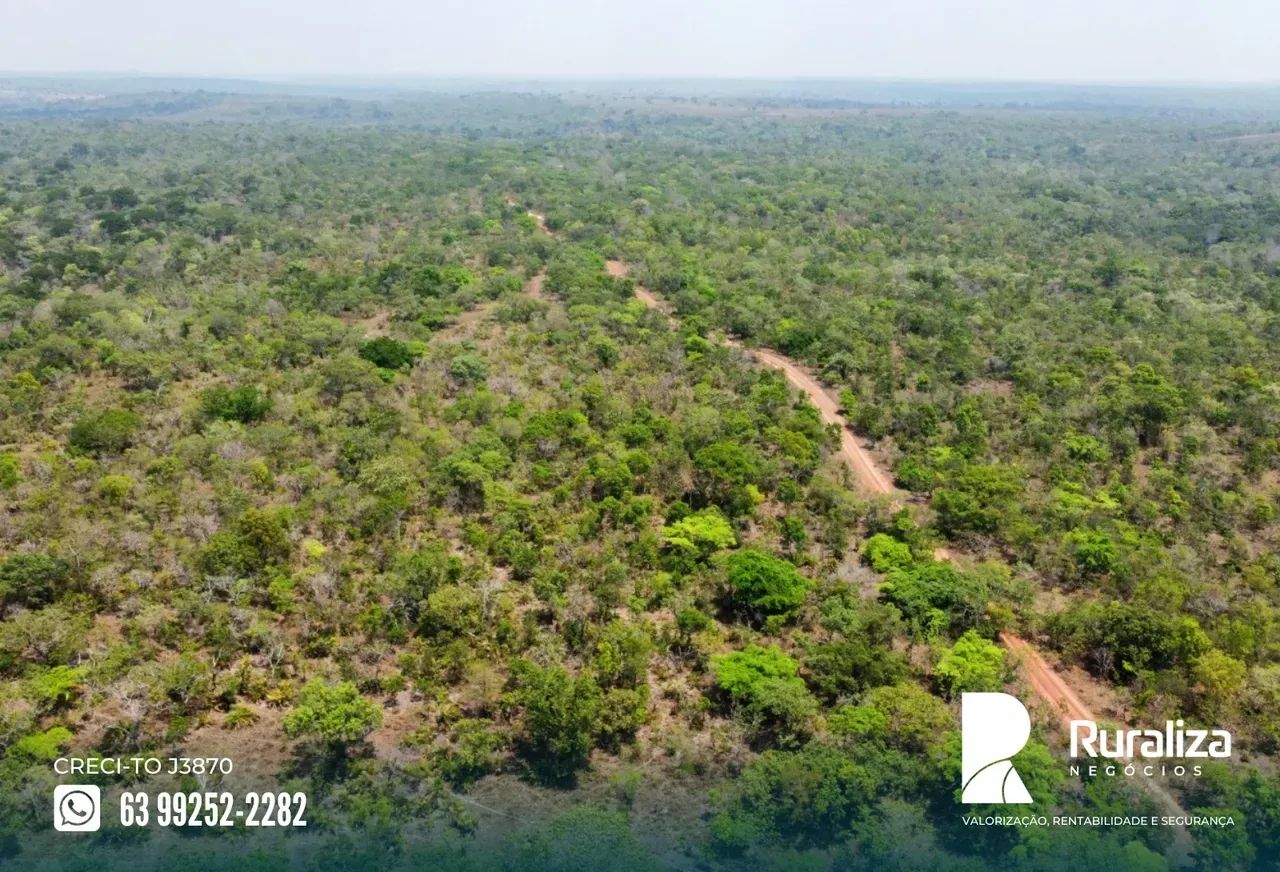 ÁREA BRUTA COM 270 HA DE POTENCIAL AGRÍCOLA | NASCENTES E CÓRREGOS - Foto 3