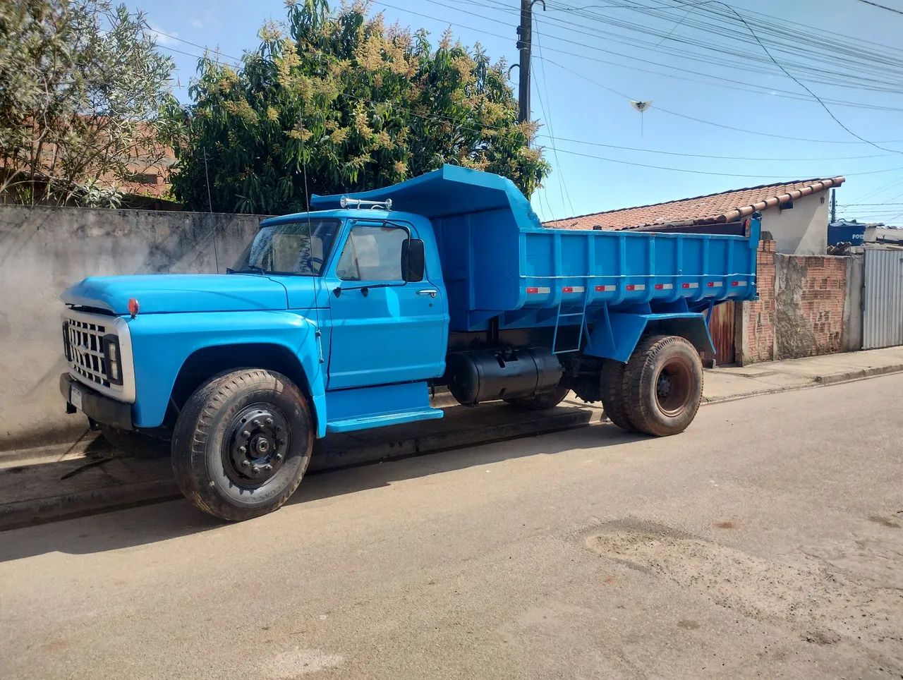 Caminhão Ford 11000