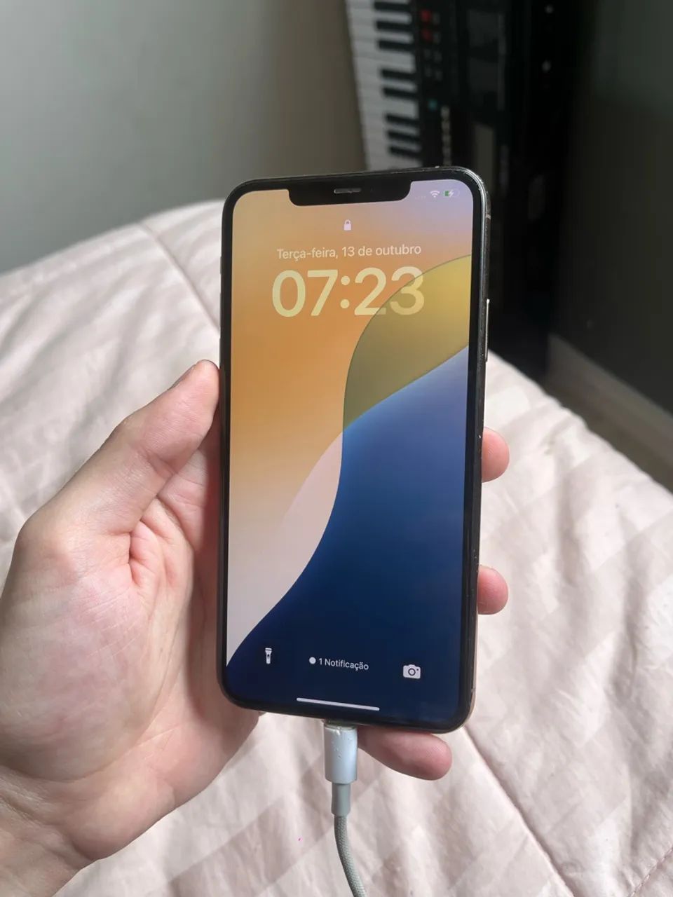 Iphone 11 Pro Max - 256Gb - Celulares e Smartphones - Indianópolis