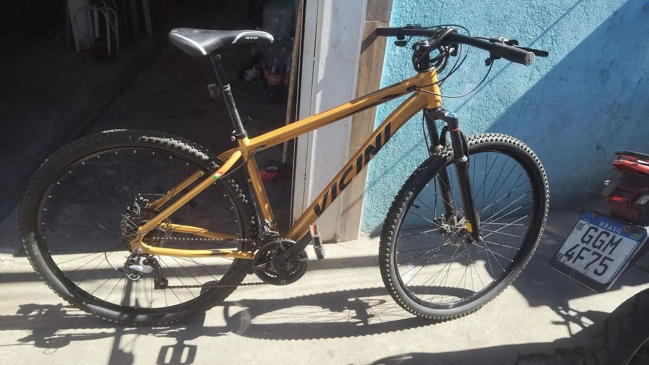 Bicicleta binici aro 29