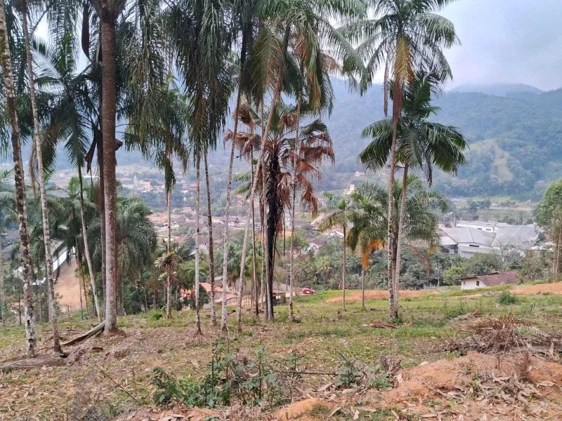 Terreno BENEDITO NOVO - SC - Foto 2
