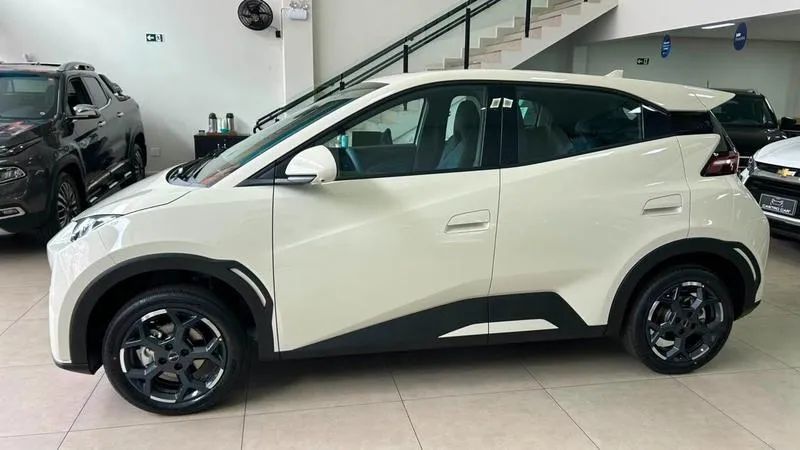 BYD Dolphin GS (Elétrico) 2027 - Foto 4