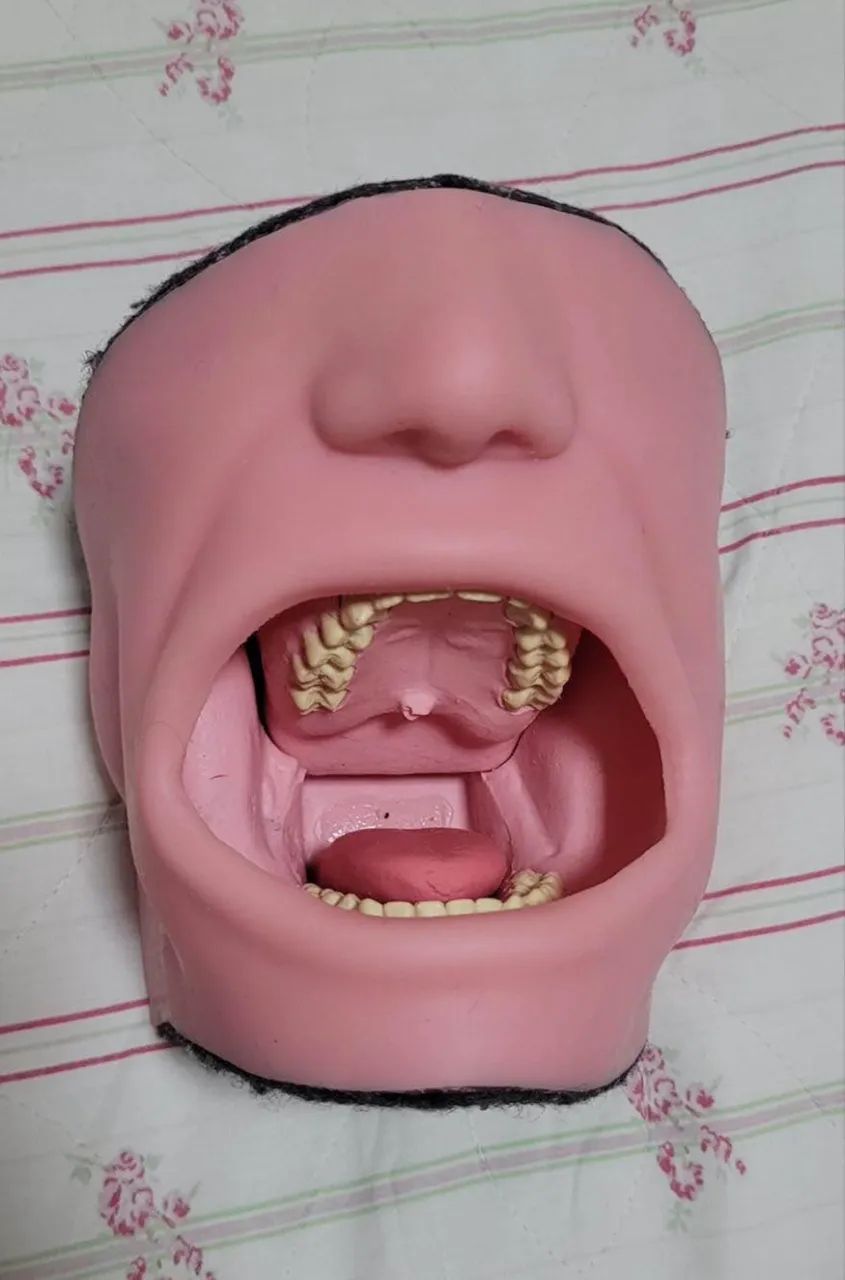 Manequim odontológico- ORAIS 