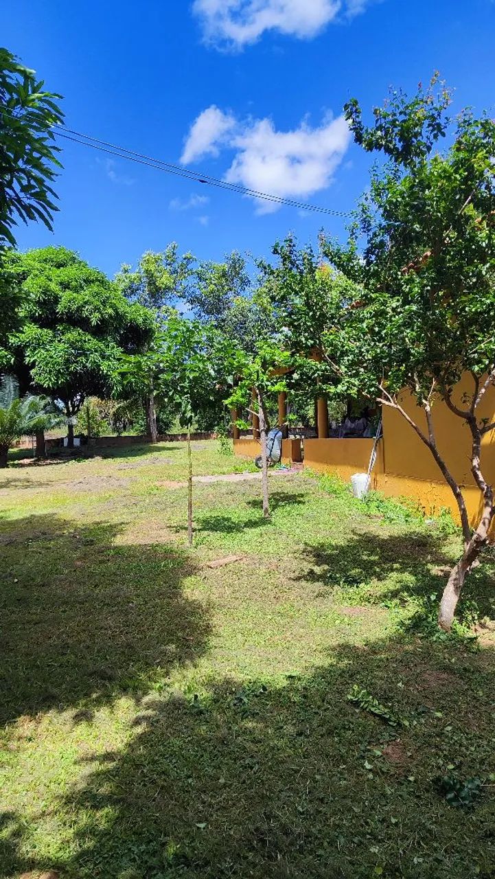 FAZENDA A  VENDA EM POSSE/GO  - Foto 3
