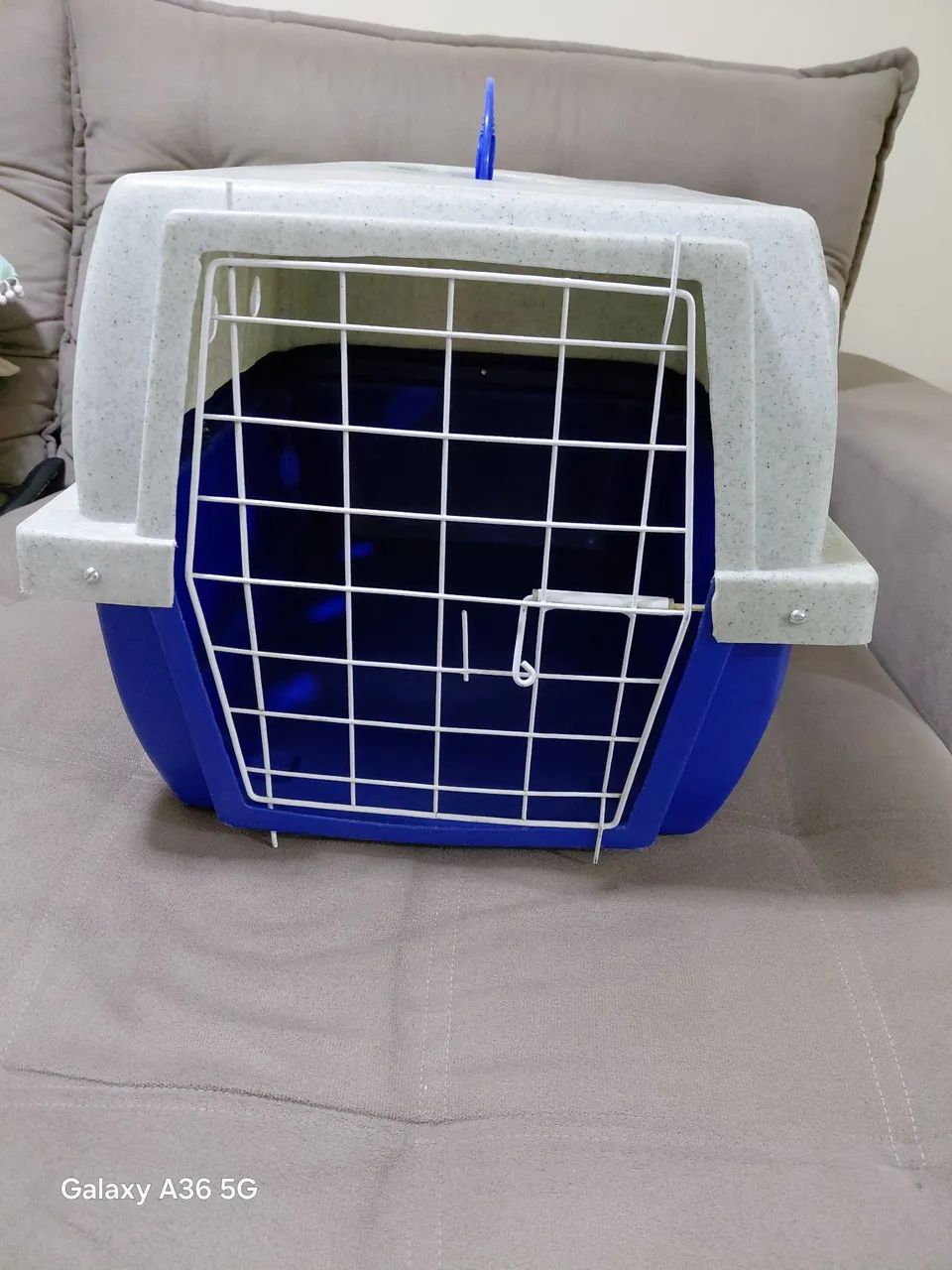 CAIXA TRANSPORTADORA DE PETS