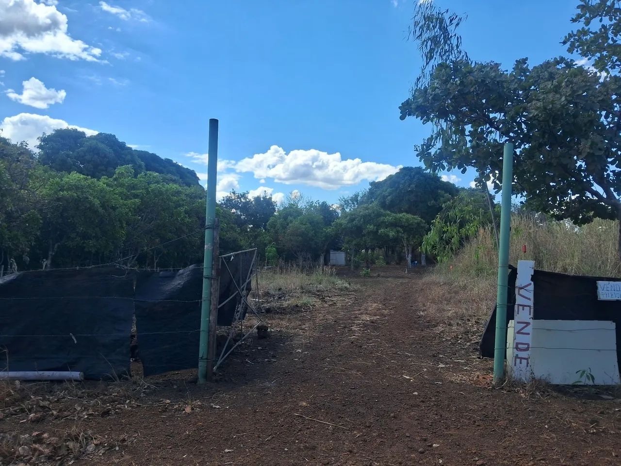 Chacara no coqueirinho  - Foto 4