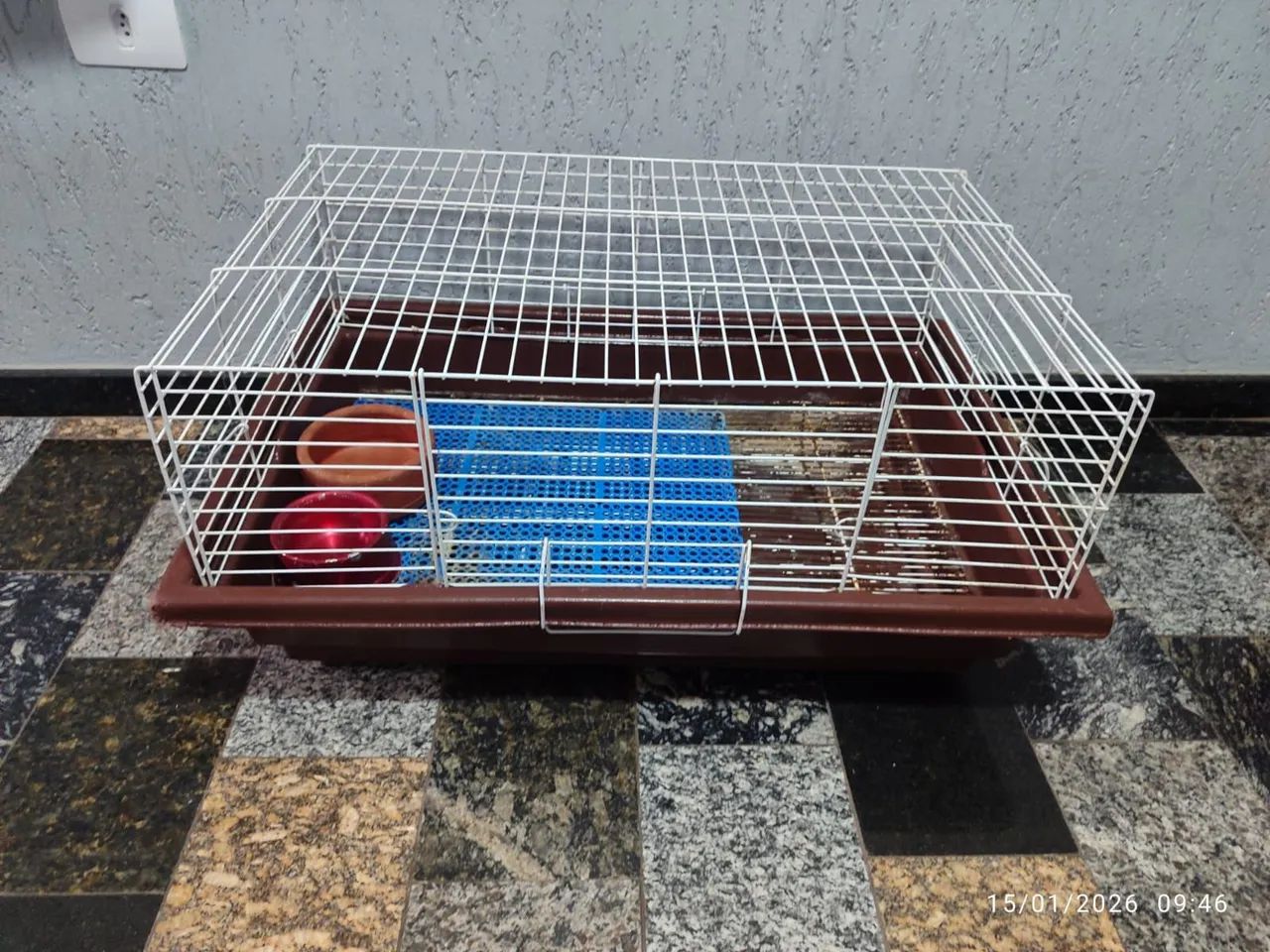 Gaiola ideal para seu pet! Espaçosa,