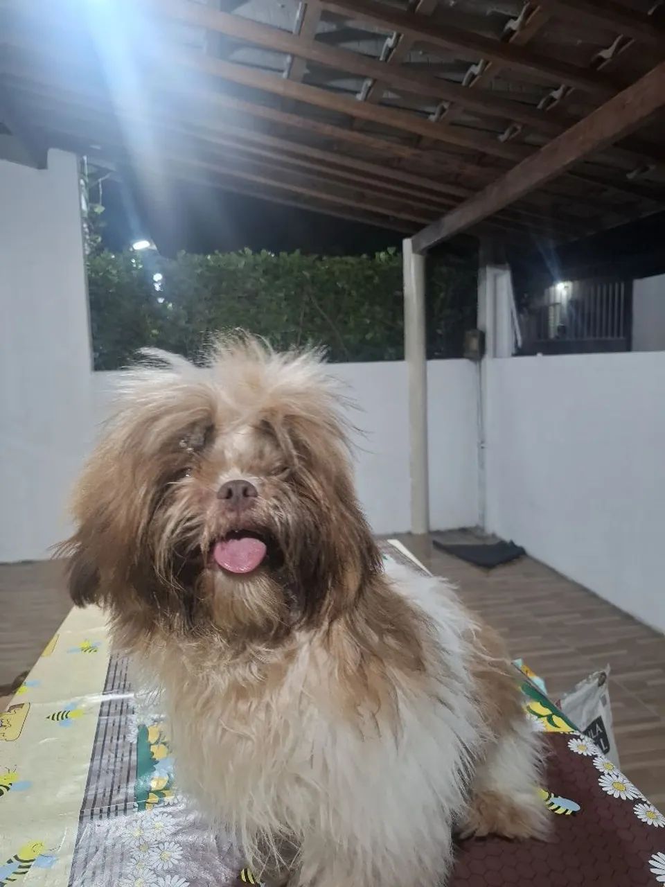 Procuro namorada  - Foto 2