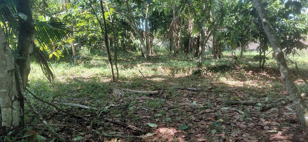 Vendo lotes 12×25 sta.izabel - Foto 4