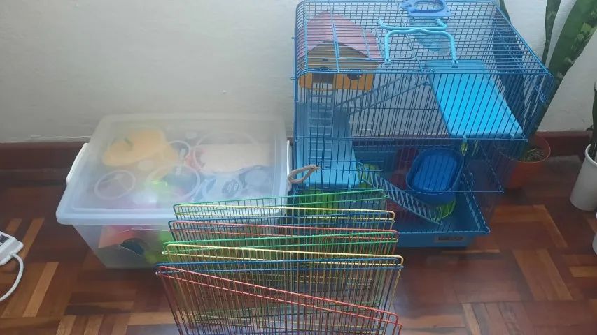 Acessórios para Hamster