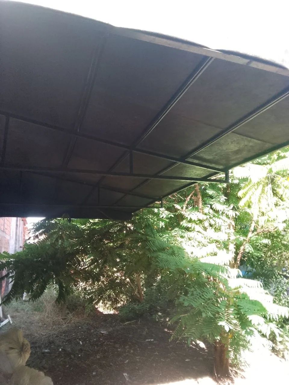 toldo  - Foto 2