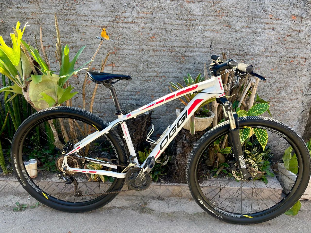 Bike Oggi hacker Aro 29