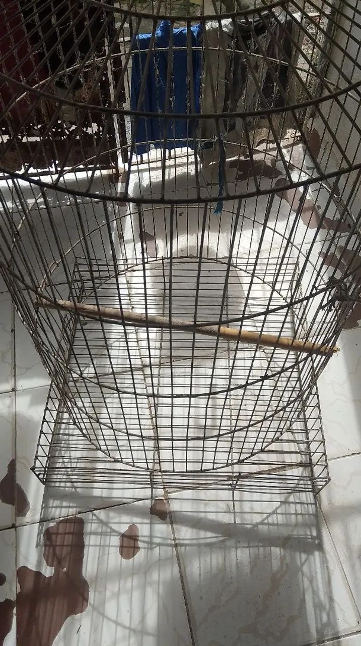 Gaiola para aves 