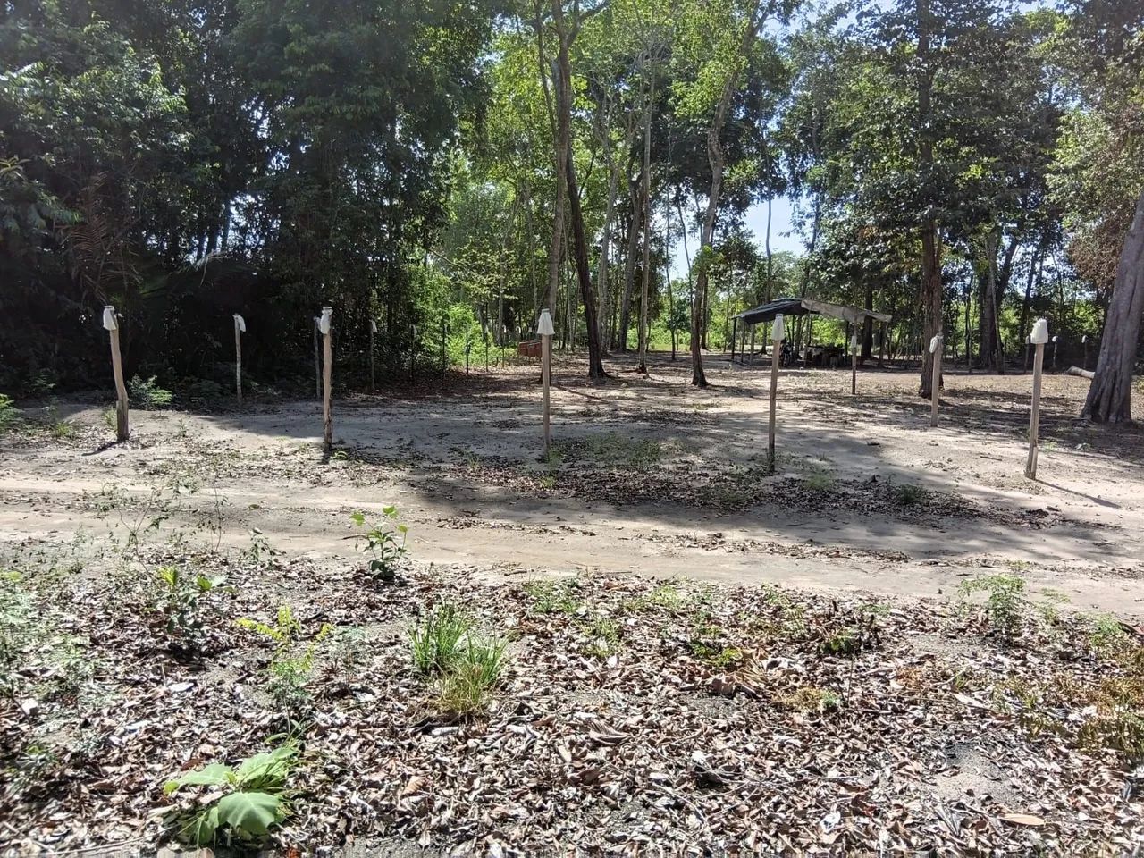 Foto - Santarém - Amparo