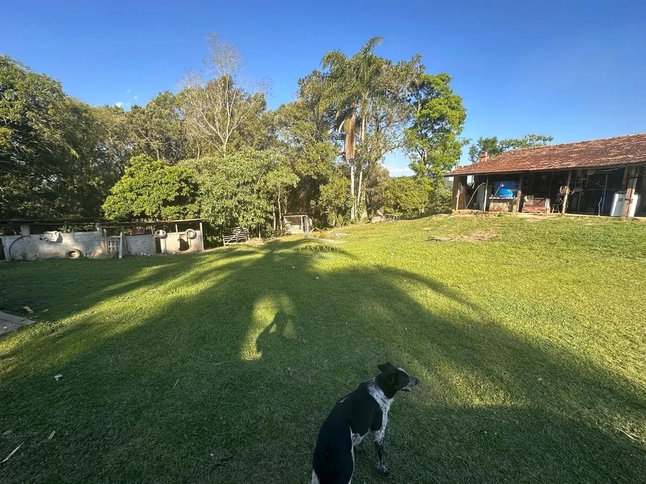 Chácara no Retiro em Campo Largo - Foto 4