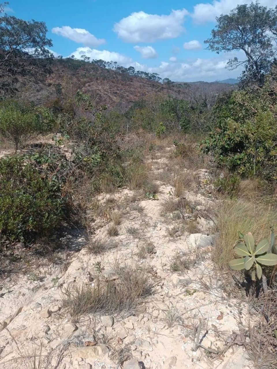 Vende chácara  aceito troca  - Foto 4