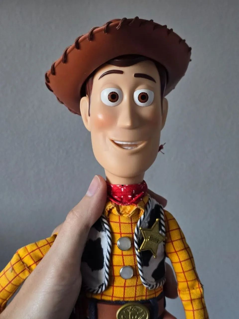 Woody signature collection