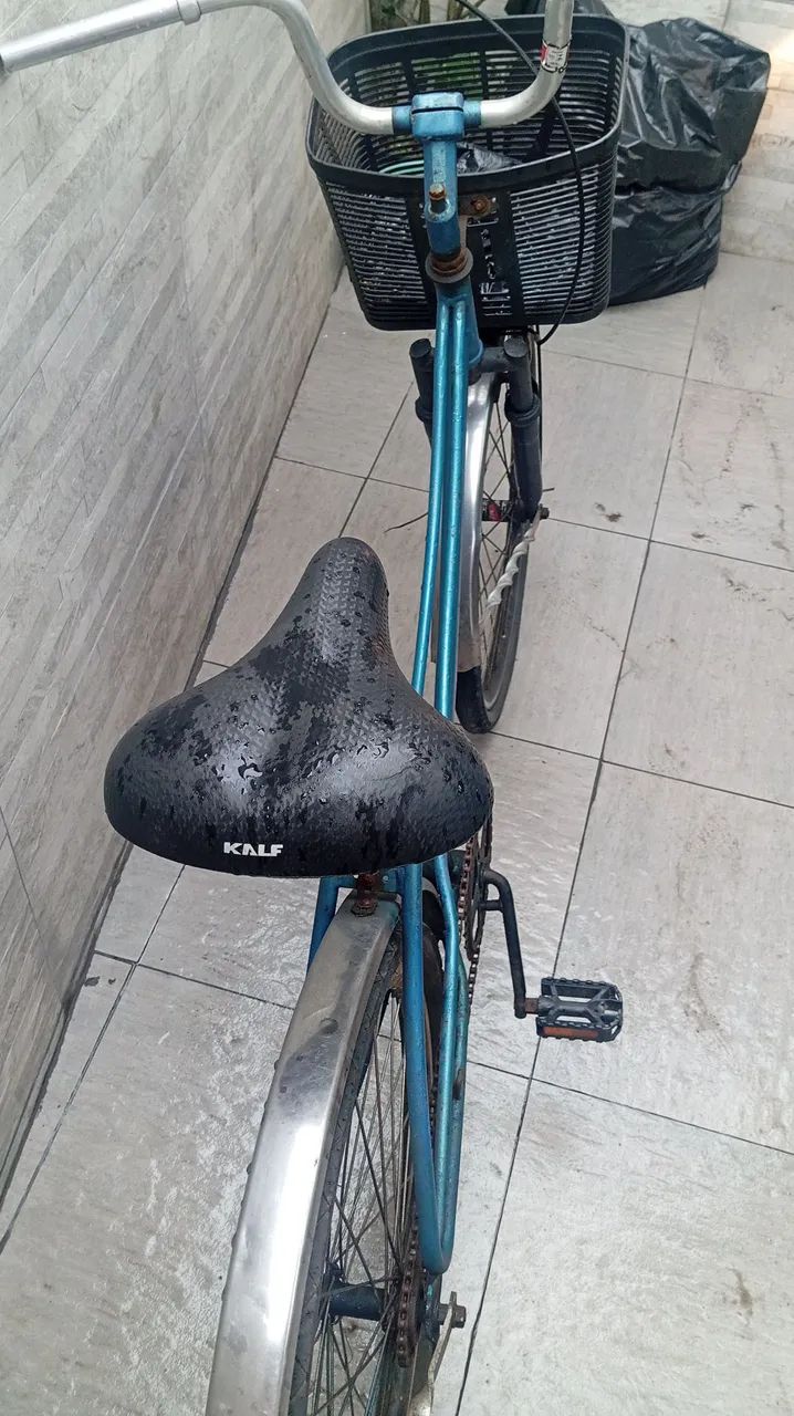 Bicicleta Ceci 