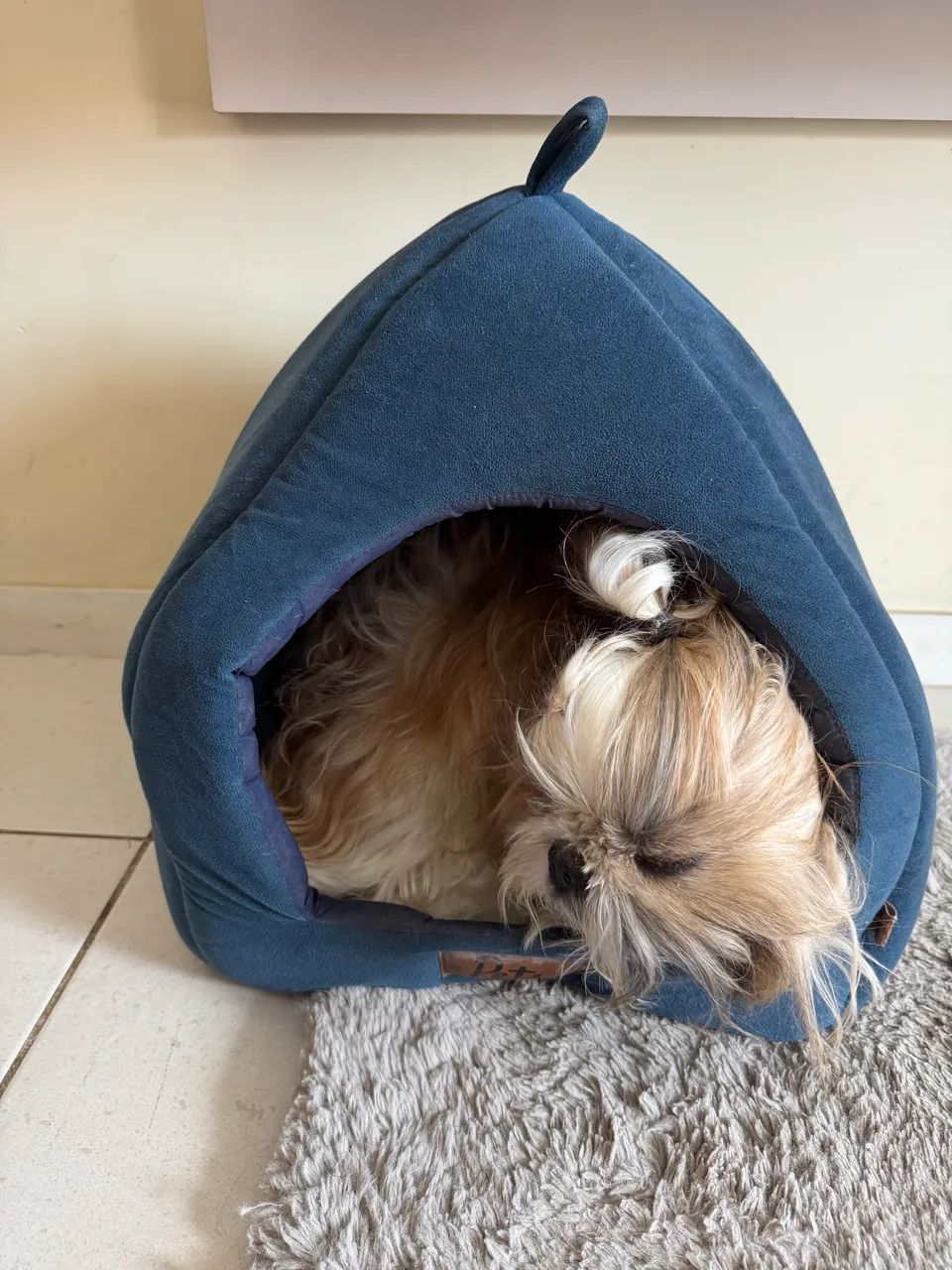 Cama de pet