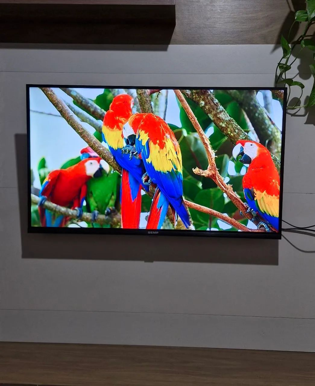 Tv Smart 32" SEMP TCL Android Google  - Foto 3