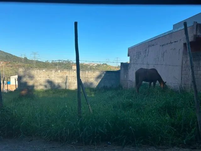 TERRENO EM TERRA PRETA (MAIRIPORÃ) - Foto 4