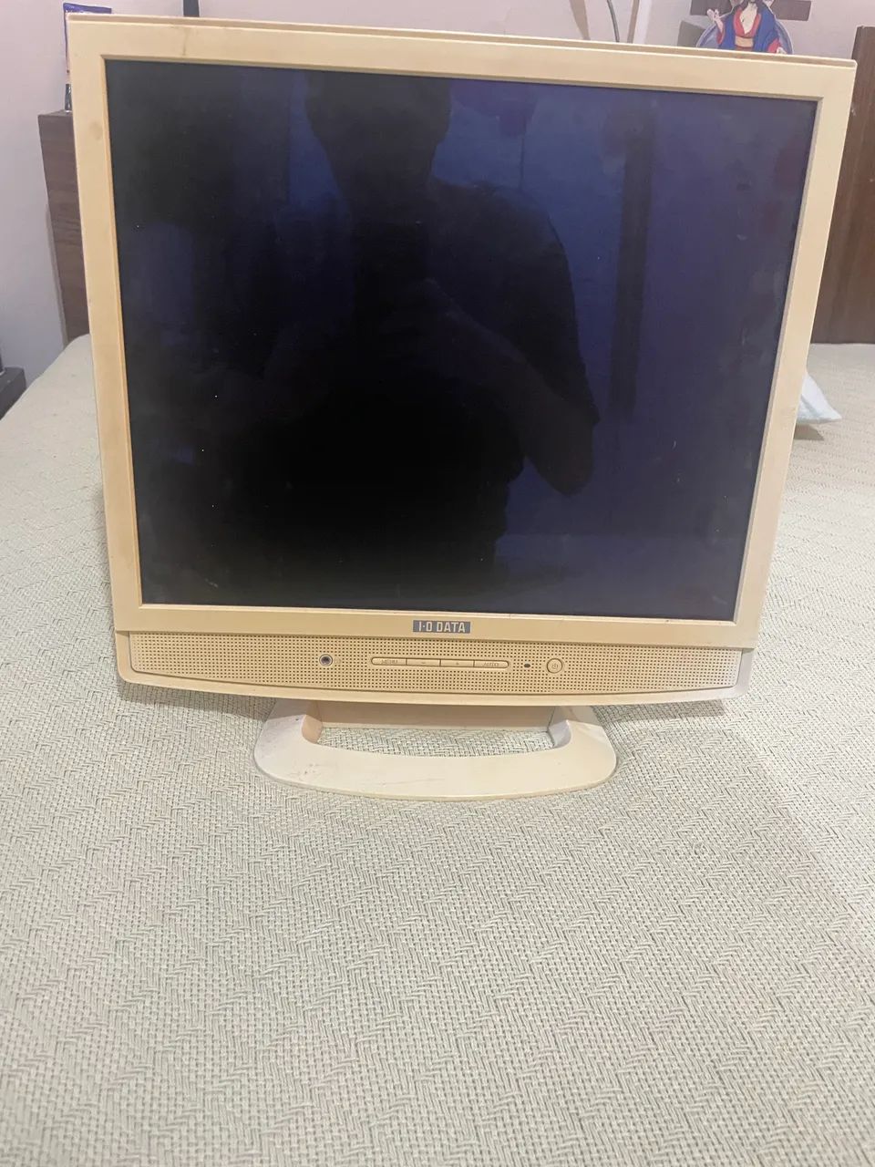 Monitor LCD I-O DATA - Ótimo para uso básico ou retrô
