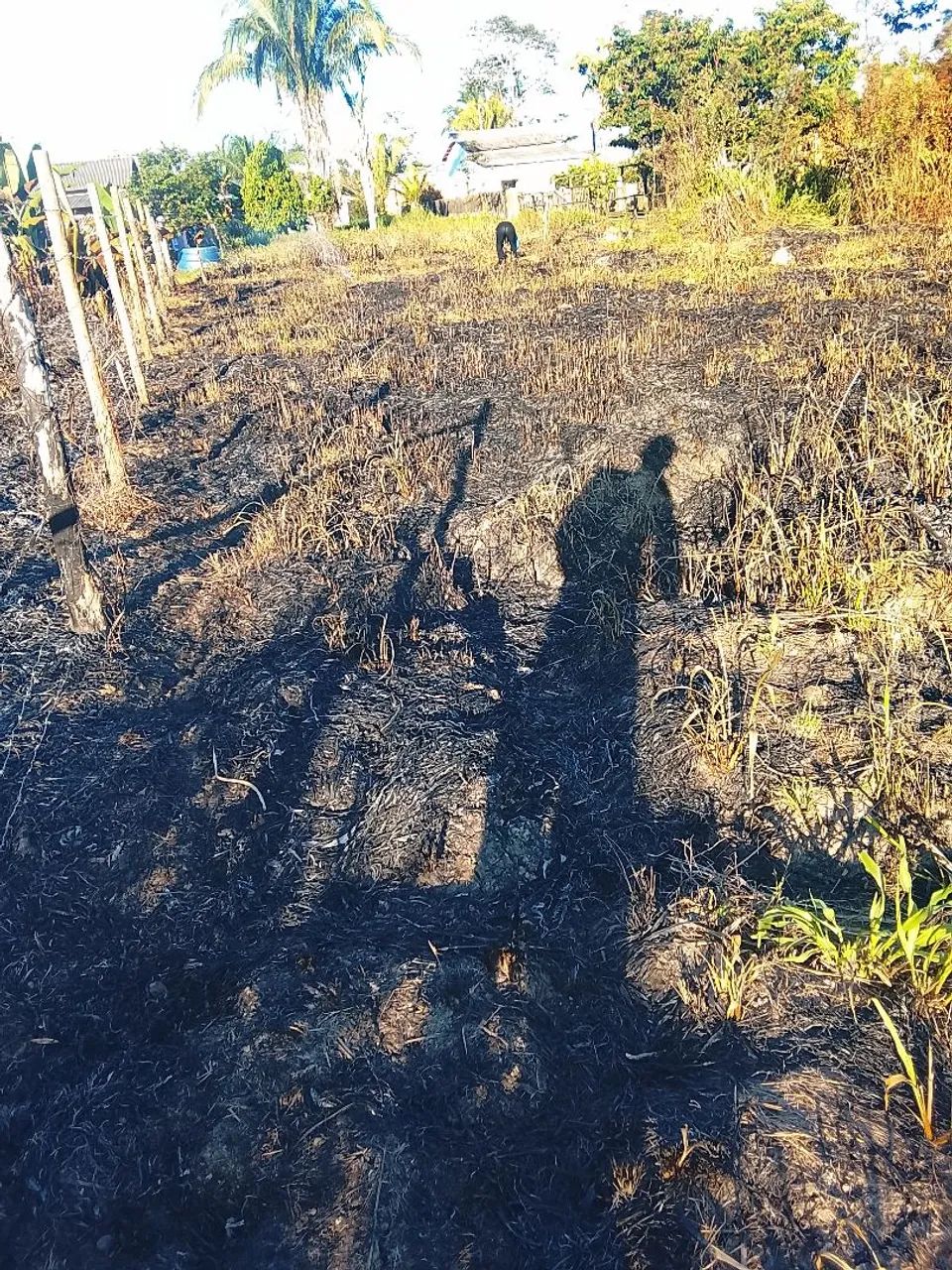 Vendo Terreno no ramal Santa Rosa  - Foto 5