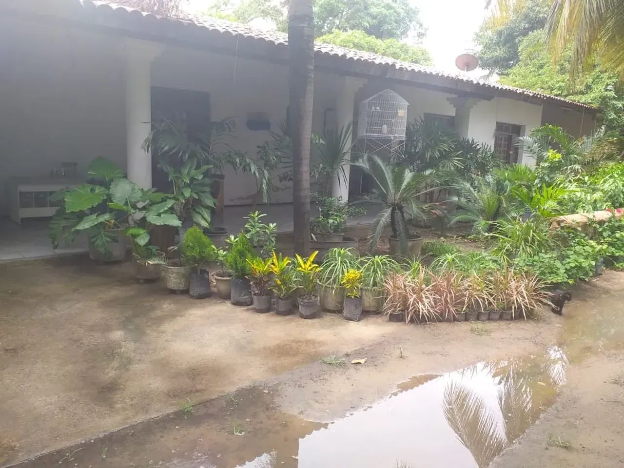 Terreno na Parangaba - Foto 5