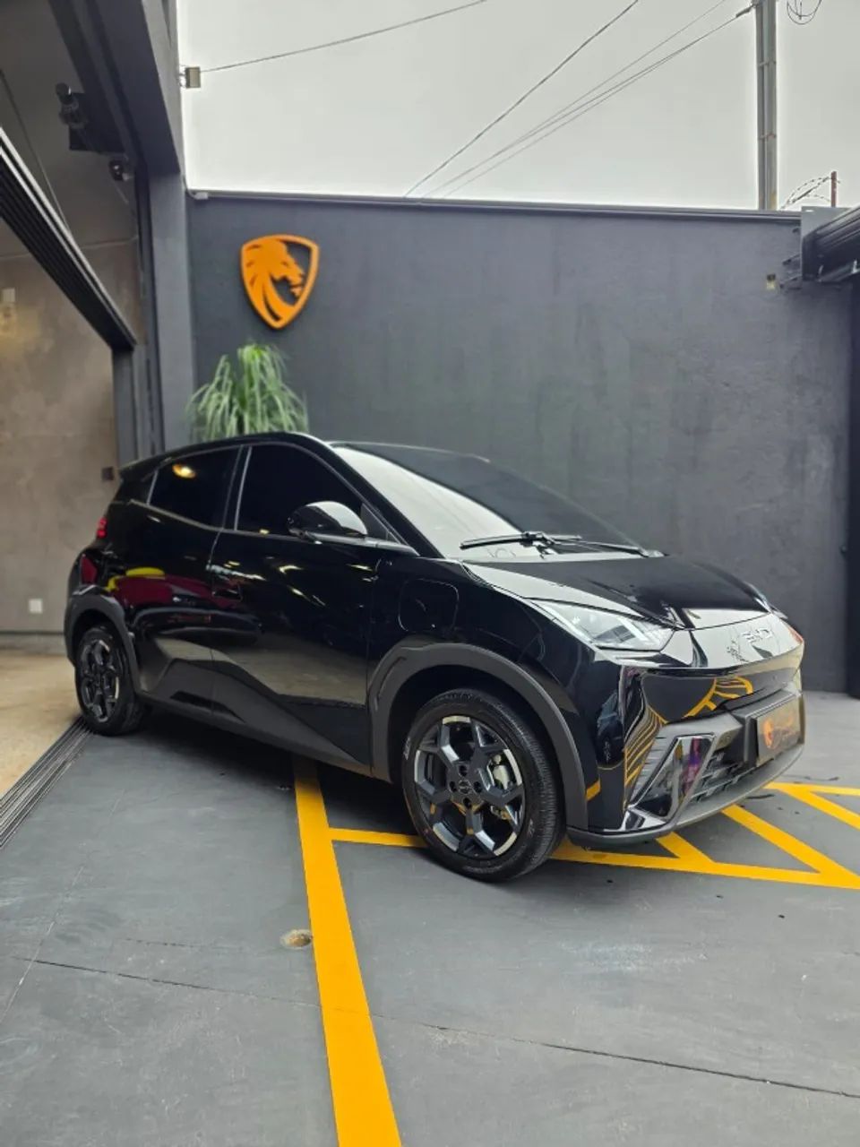 BYD Dolphin Mini (Elétrico) 2027