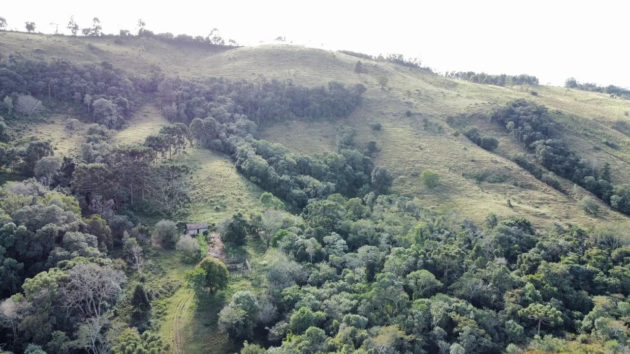 Vende sítio em excelente lugar em são Jerônimo da serra - Foto 2