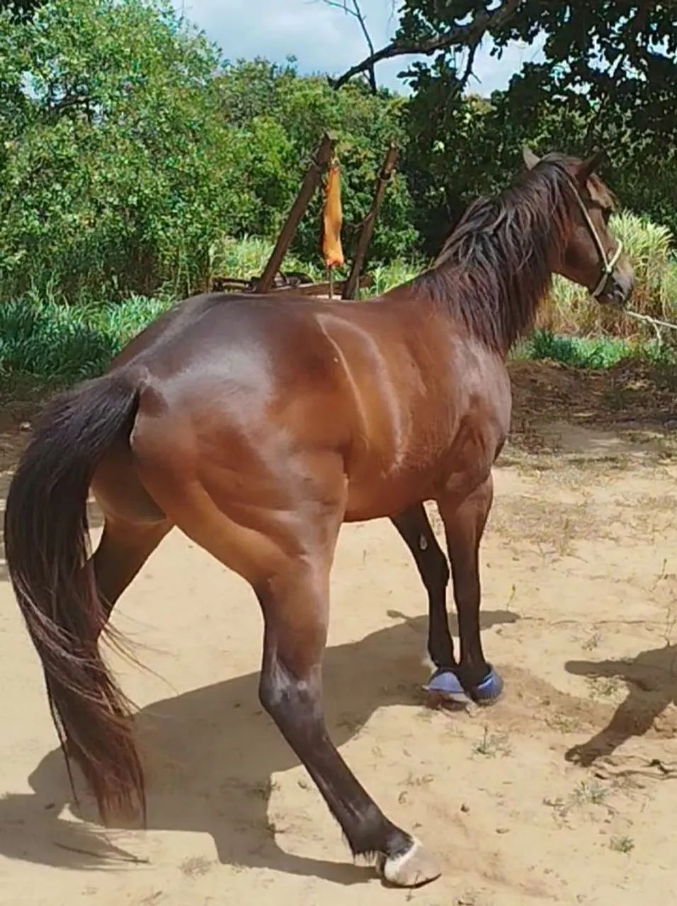 Vendo e troco  - Foto 3